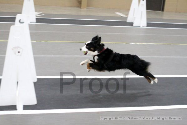 IMG_9865.jpg
