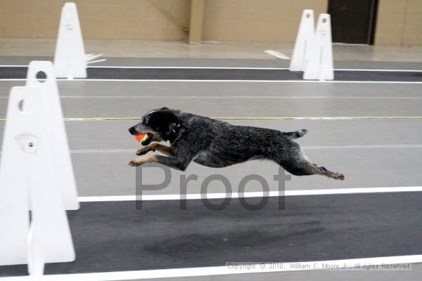 IMG_9871.jpg