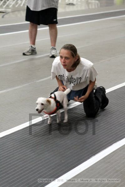 IMG_9930.jpg
