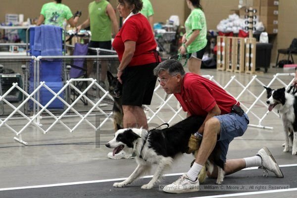 IMG_9932.jpg