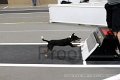 IMG_9830