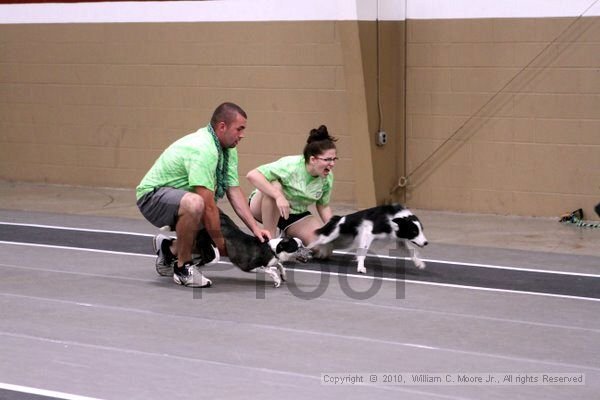 IMG_0260.jpg