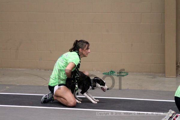 IMG_0262.jpg