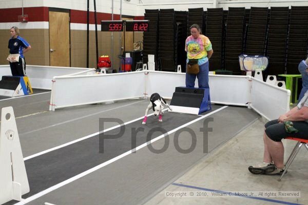 IMG_0403.jpg