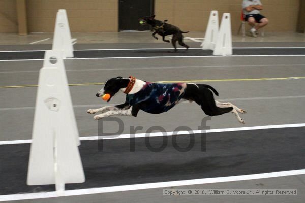 IMG_0426.jpg