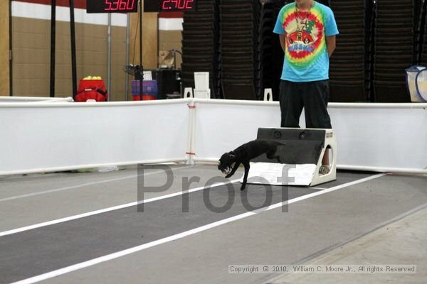 IMG_0442.jpg