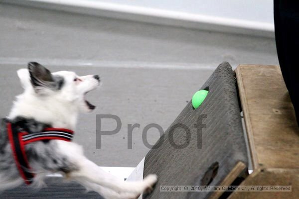 IMG_0584.jpg