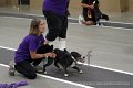 IMG_0555
