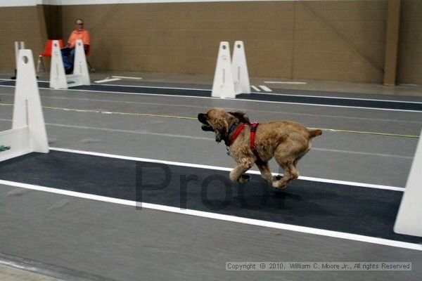 IMG_0617.jpg