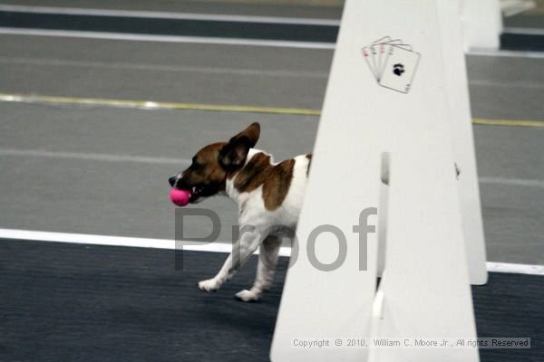 IMG_0700.jpg