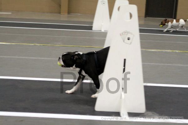 IMG_0786.jpg