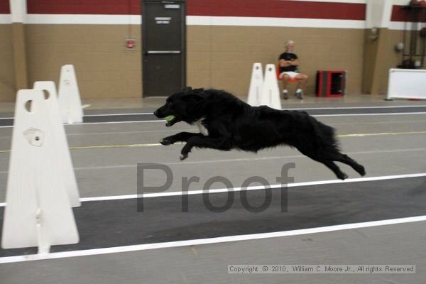 IMG_0806.jpg