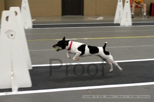 IMG_0834.jpg