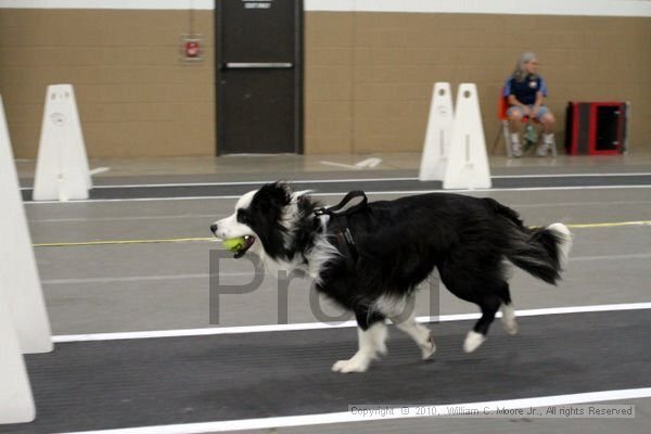 IMG_0941.jpg