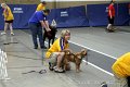 IMG_0967