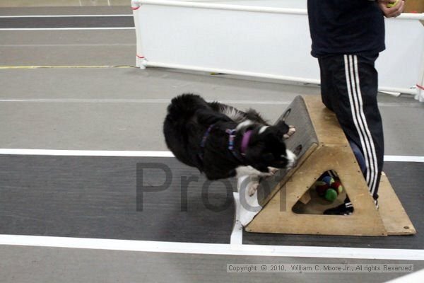 IMG_1036.jpg