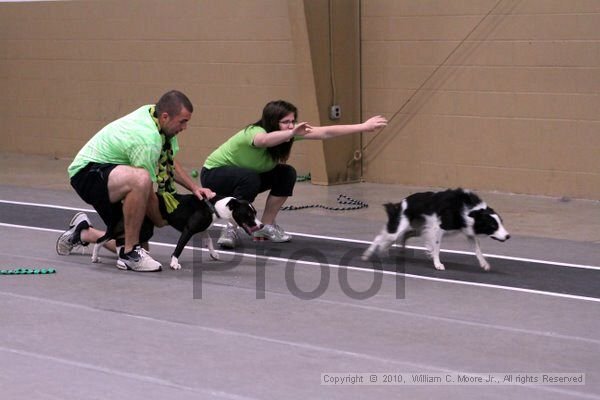 IMG_1082.jpg