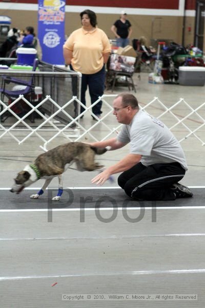 IMG_1098.jpg