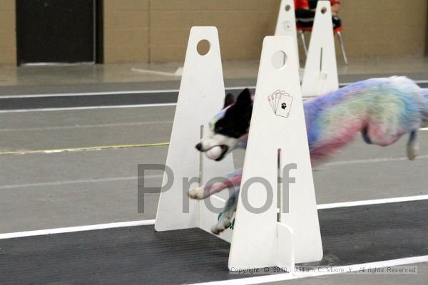 IMG_1124.jpg