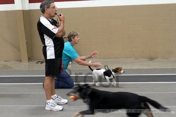IMG_1139.jpg