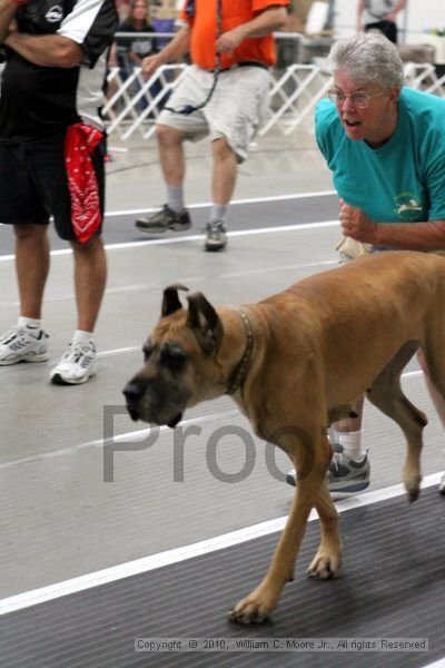 IMG_1150.jpg