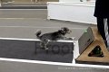 IMG_1066
