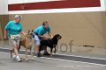 IMG_1130