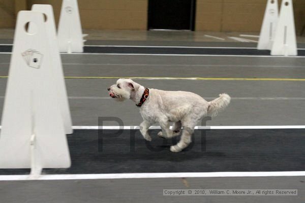 IMG_1188.jpg