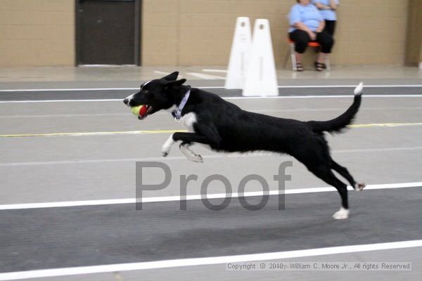 IMG_1200.jpg