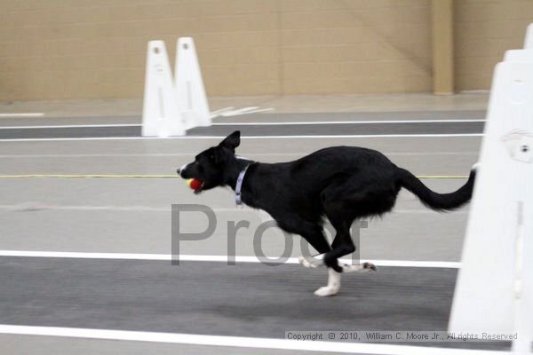 IMG_1202.jpg