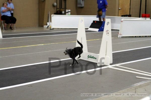 IMG_1236.jpg