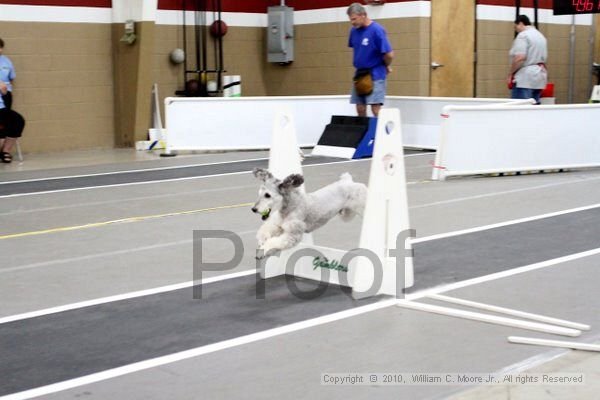 IMG_1253.jpg