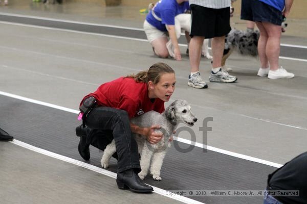 IMG_1282.jpg