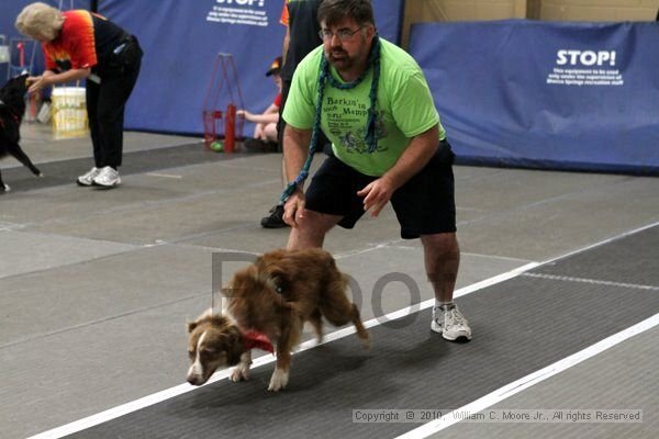 IMG_1303.jpg