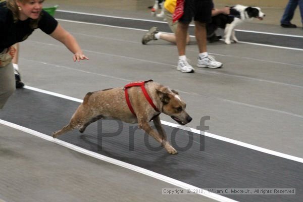 IMG_1413.jpg