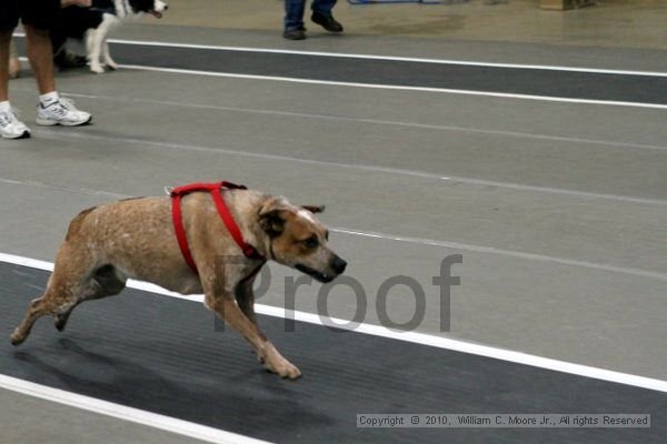 IMG_1415.jpg