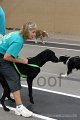 IMG_1509