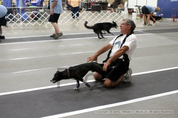 IMG_1530.jpg