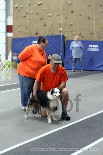 IMG_1545.jpg