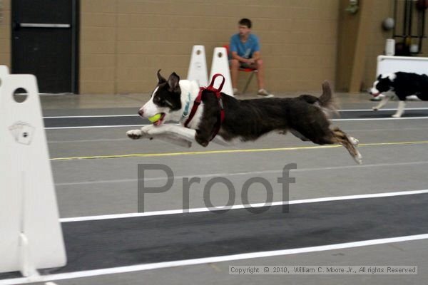 IMG_1563.jpg