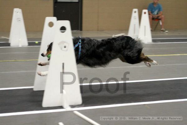 IMG_1571.jpg