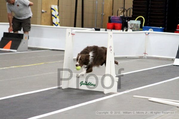 IMG_1600.jpg