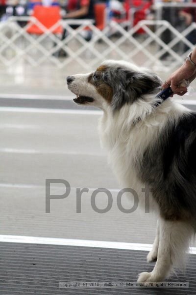 IMG_1627.jpg