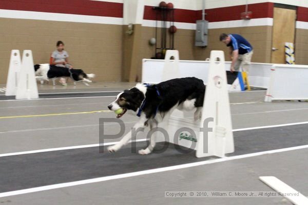 IMG_1690.jpg