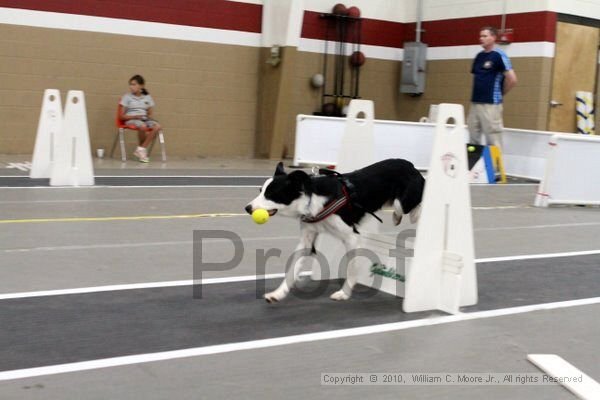 IMG_1698.jpg
