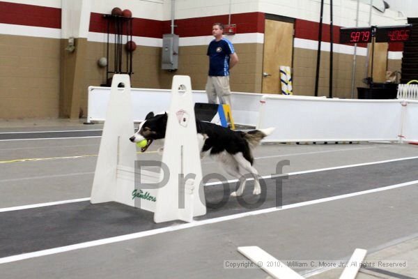 IMG_1702.jpg