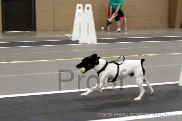 IMG_1719.jpg