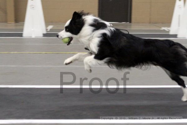 IMG_1725.jpg