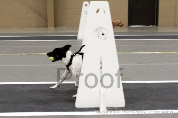 IMG_1732.jpg