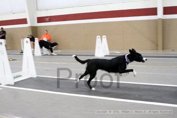 IMG_1762.jpg